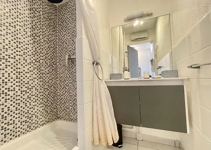 Appartement climatisé pour 6 personnes avec vue sur canal et parking à Sète - FR-1-338-533 * Sète