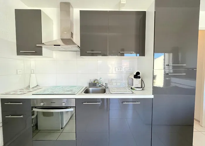 Appartement Climatise Pour 6 Personnes Avec Vue Sur Canal Et Parking A Sete - Fr-1-338-533 Appartement
