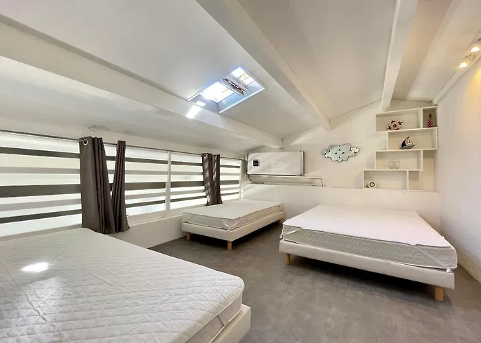 Appartement Climatise Pour 6 Personnes Avec Vue Sur Canal Et Parking A Sete - Fr-1-338-533