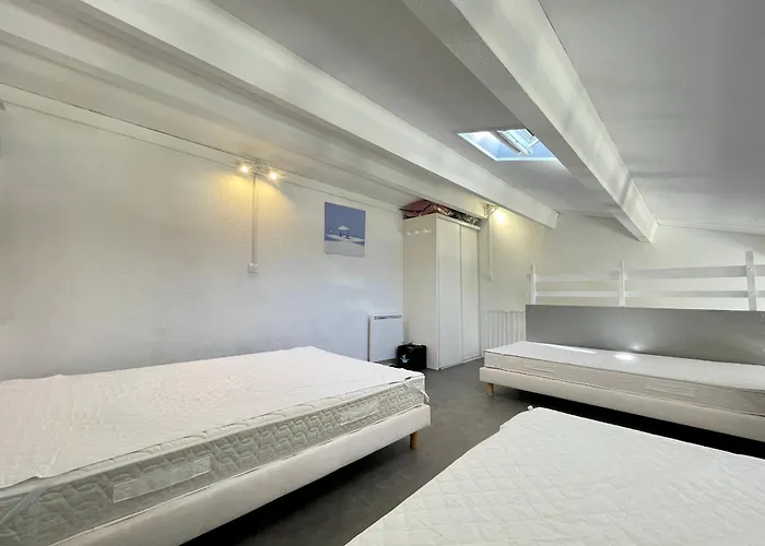 Appartement Climatise Pour 6 Personnes Avec Vue Sur Canal Et Parking A Sete - Fr-1-338-533 Appartement *